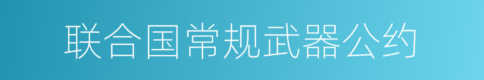 联合国常规武器公约的同义词