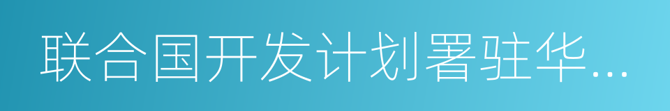 联合国开发计划署驻华代表处的同义词