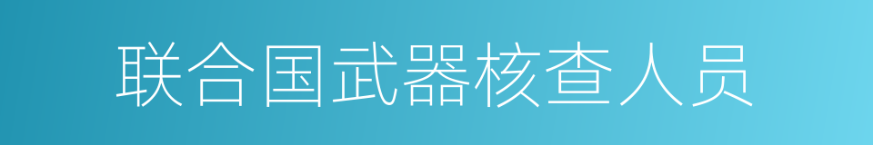 联合国武器核查人员的同义词