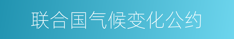 联合国气候变化公约的同义词