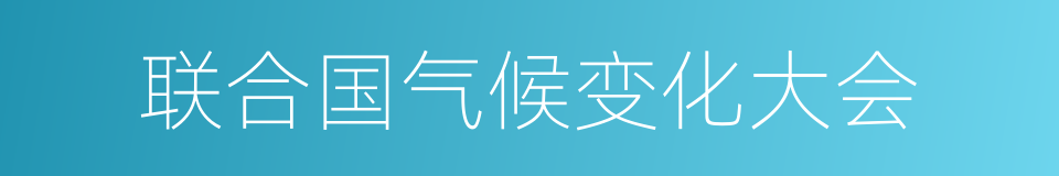 联合国气候变化大会的同义词