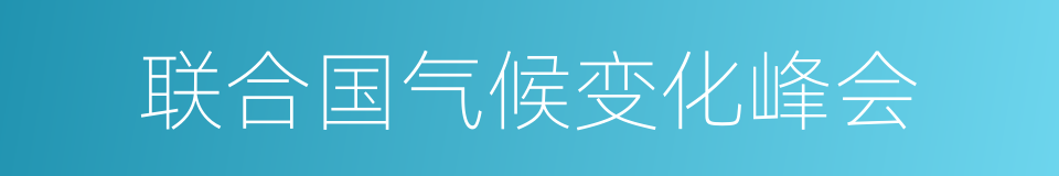 联合国气候变化峰会的同义词