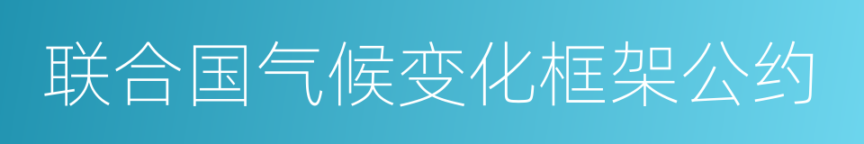 联合国气候变化框架公约的同义词