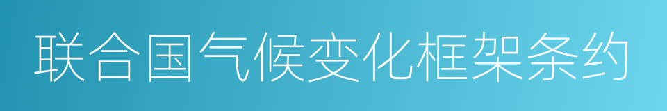 联合国气候变化框架条约的同义词