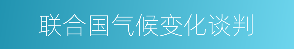 联合国气候变化谈判的同义词