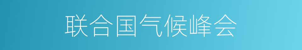 联合国气候峰会的同义词