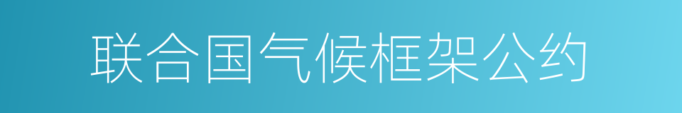 联合国气候框架公约的同义词