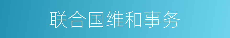联合国维和事务的同义词