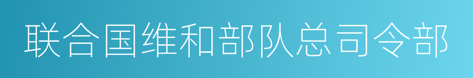 联合国维和部队总司令部的同义词