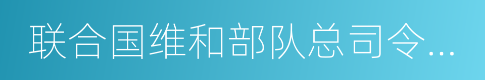 联合国维和部队总司令部特别通行证的同义词