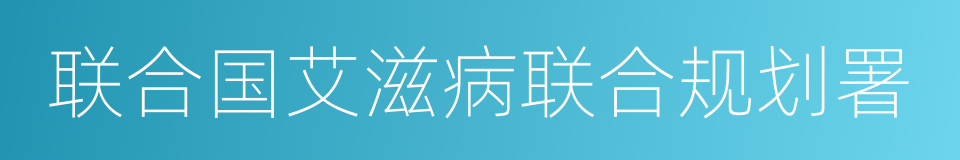 联合国艾滋病联合规划署的同义词