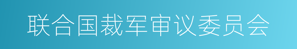联合国裁军审议委员会的同义词