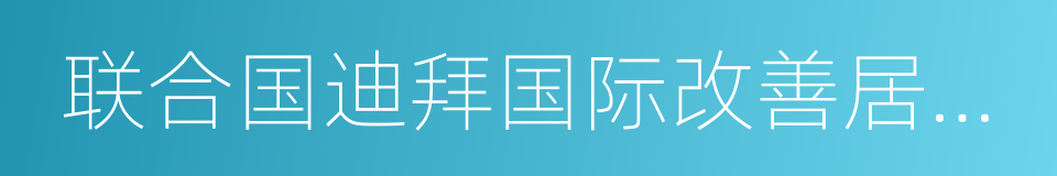 联合国迪拜国际改善居住环境良好范例奖的同义词