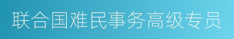 联合国难民事务高级专员的同义词