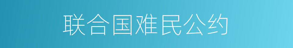 联合国难民公约的同义词