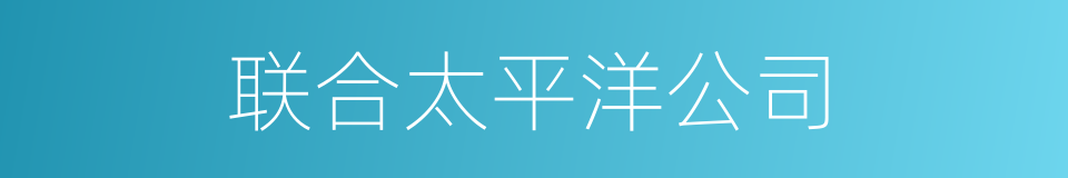 联合太平洋公司的同义词