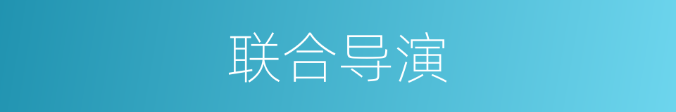 联合导演的意思