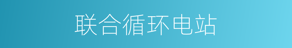 联合循环电站的同义词