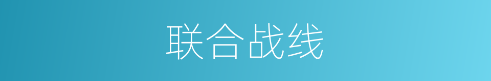 联合战线的意思