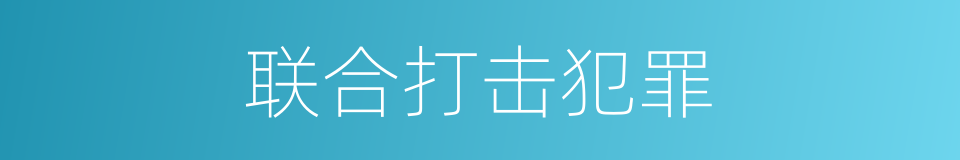 联合打击犯罪的同义词