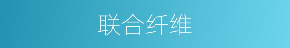 联合纤维的同义词
