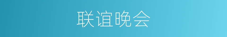 联谊晚会的同义词