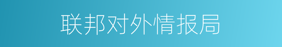 联邦对外情报局的同义词