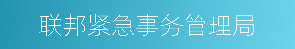 联邦紧急事务管理局的同义词