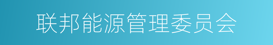 联邦能源管理委员会的同义词