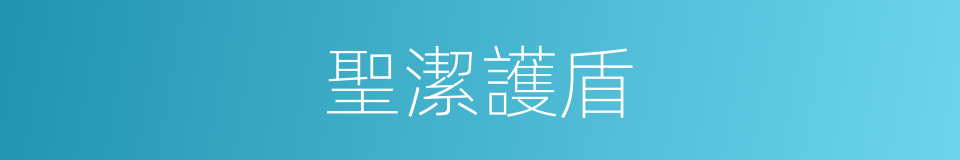 聖潔護盾的同義詞