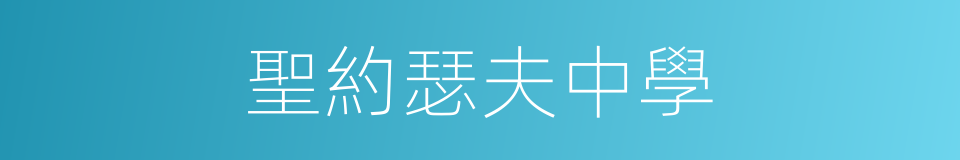 聖約瑟夫中學的同義詞