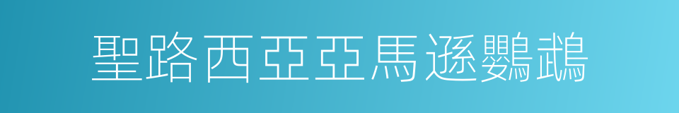 聖路西亞亞馬遜鸚鵡的同義詞