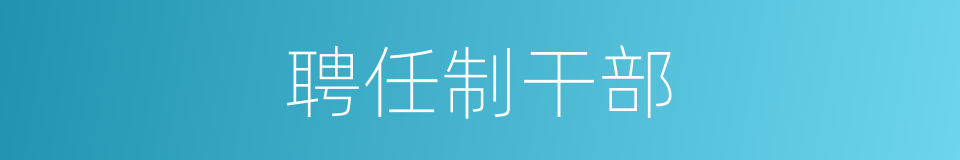 聘任制干部的同义词