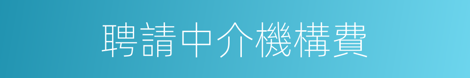 聘請中介機構費的同義詞
