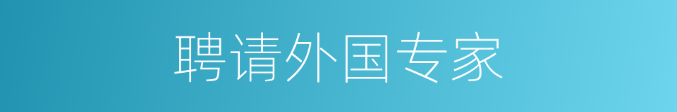 聘请外国专家的同义词