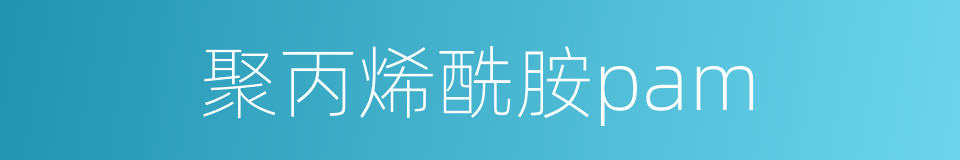 聚丙烯酰胺pam的同义词