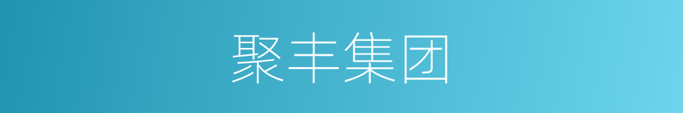 聚丰集团的同义词