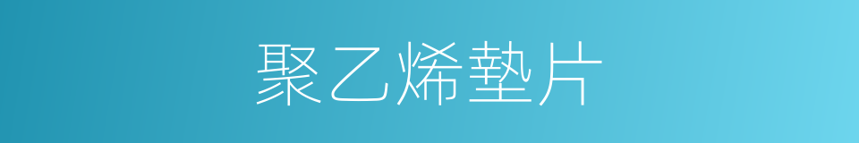 聚乙烯墊片的同義詞