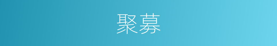 聚募的同义词