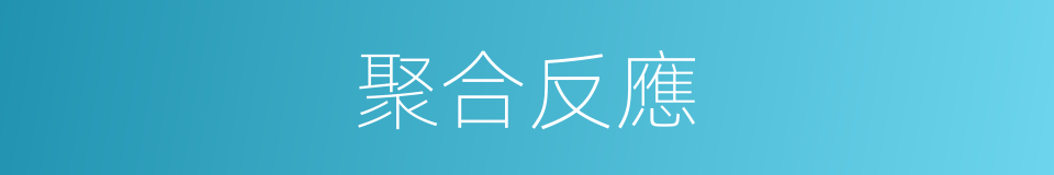 聚合反應的意思
