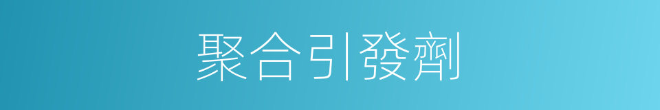 聚合引發劑的同義詞