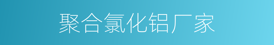 聚合氯化铝厂家的同义词