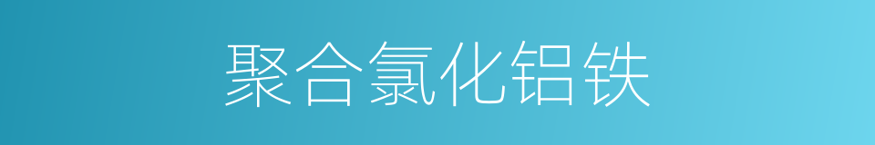 聚合氯化铝铁的同义词