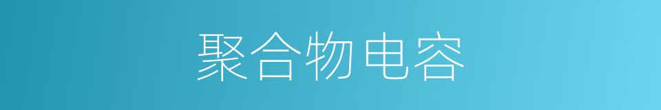 聚合物电容的同义词