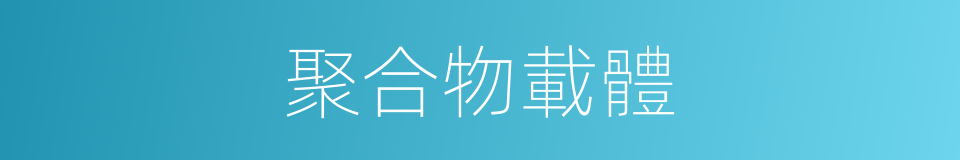聚合物載體的同義詞