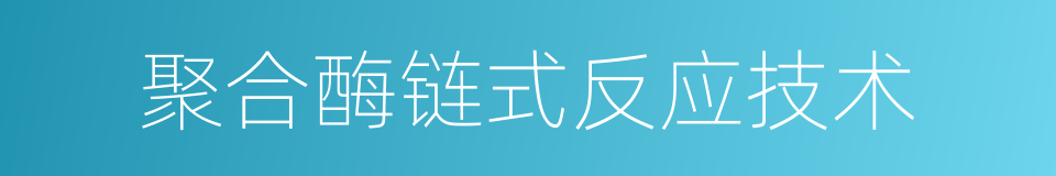 聚合酶链式反应技术的同义词