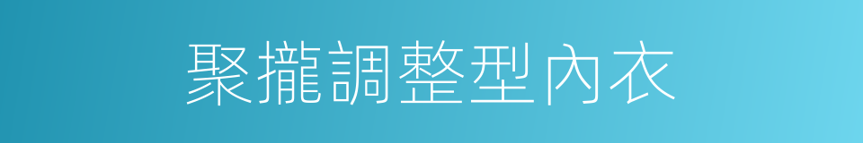 聚攏調整型內衣的同義詞