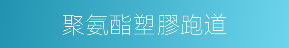 聚氨酯塑膠跑道的同義詞