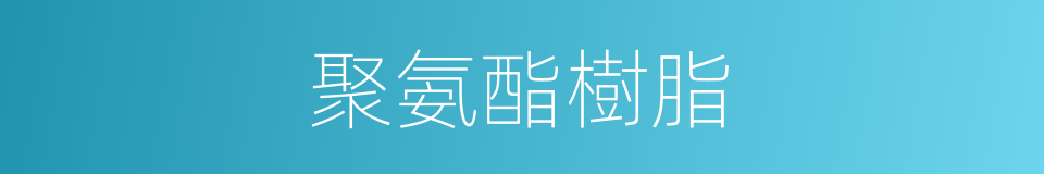 聚氨酯樹脂的同義詞