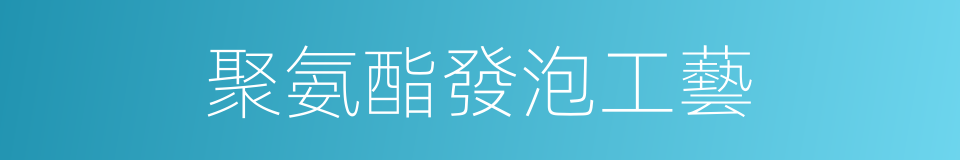 聚氨酯發泡工藝的同義詞